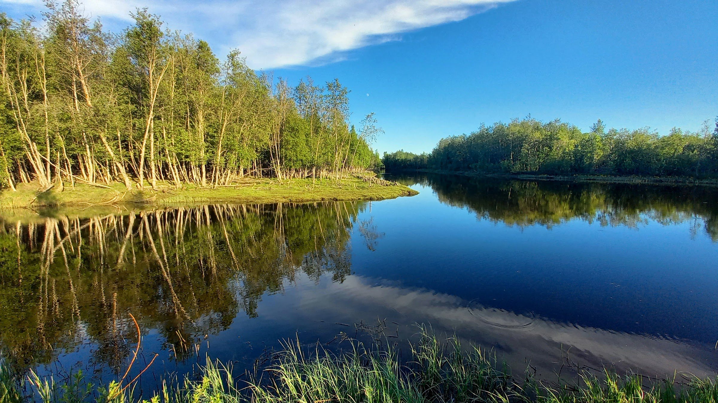 Hiastinhaara Nature Trail